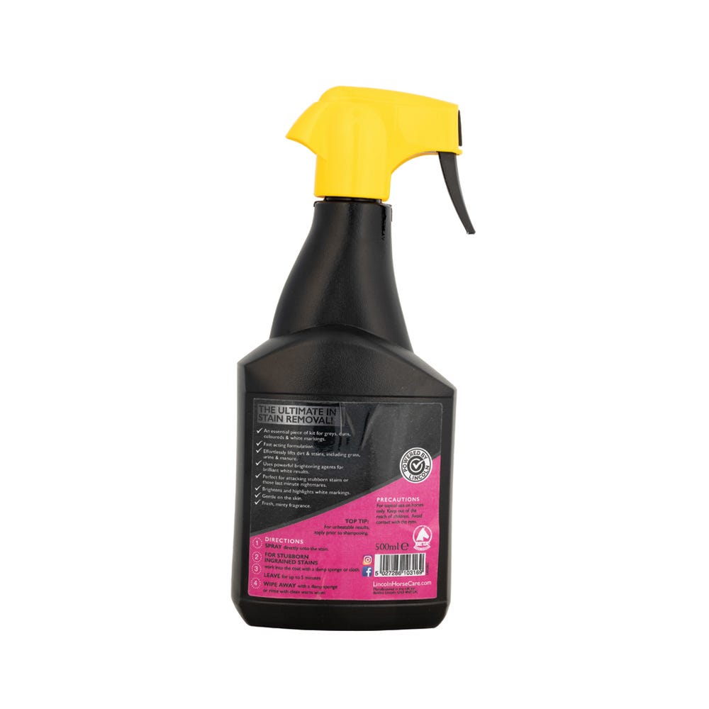 Lincoln Total Stain Eraze image 2